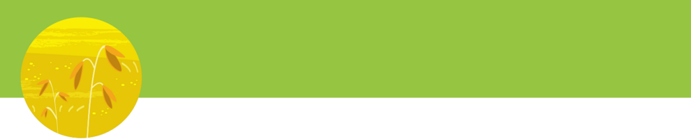 A yellow oval with red and white elements is set against a green and white background.