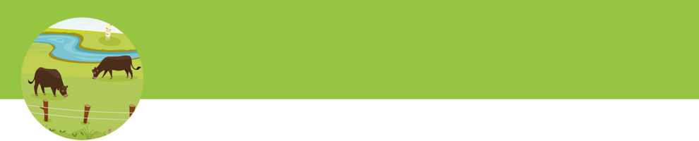 Two cows graze in a green pasture with a winding river in the background.