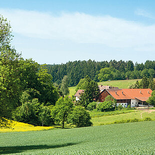 Lush green fields, a yellow blooming patch, a cluster of trees, and a red-roofed building under a clear blue sky.