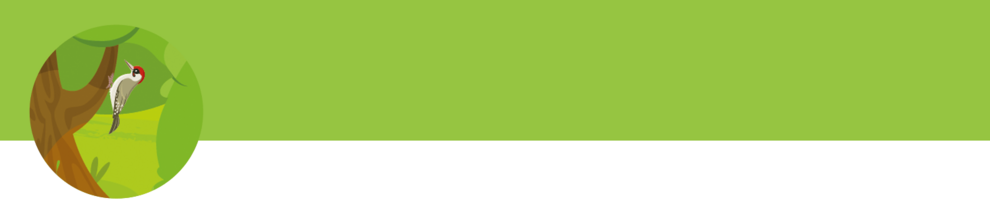 A bird perches on a tree branch.