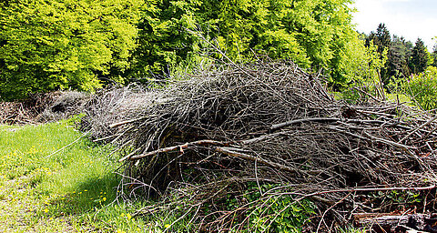 A pile of dead branches and twigs in a green field with yellow flowers.