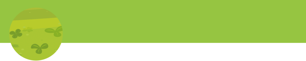 A green oval with clover patterns is set against a green background.