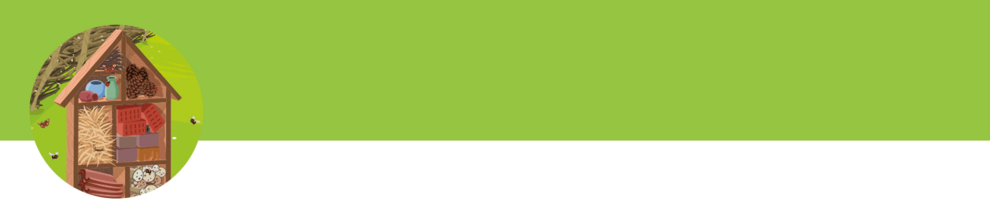 A green background with a circular cutout showcasing a detailed house.