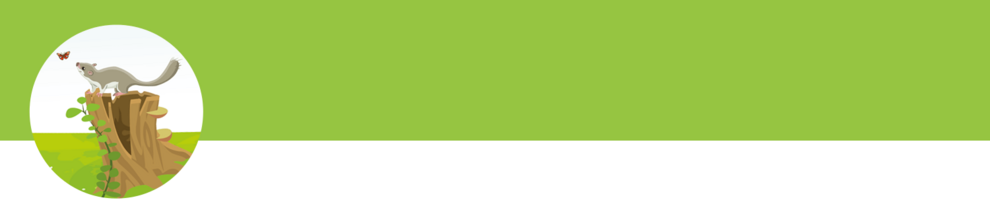 Animal on tree stump.