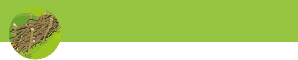 A pile of brown sticks on a green background.