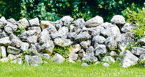 Rock wall with green grass and trees in the background.