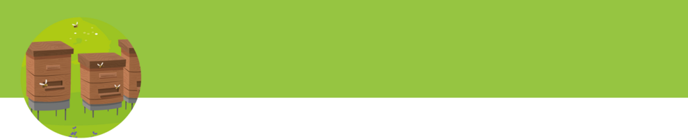 Beehives on a green field.