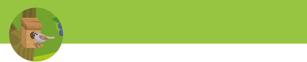 A bird perches on a wooden structure.