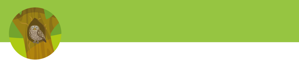 An owl perches in a tree.