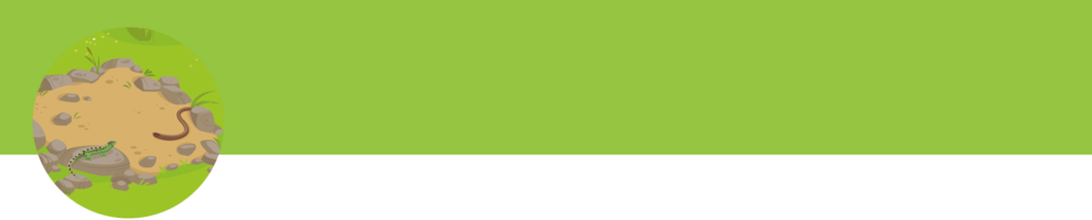 A green background with a brownish-yellow oval shape containing a landscape with rocks and a small green creature.