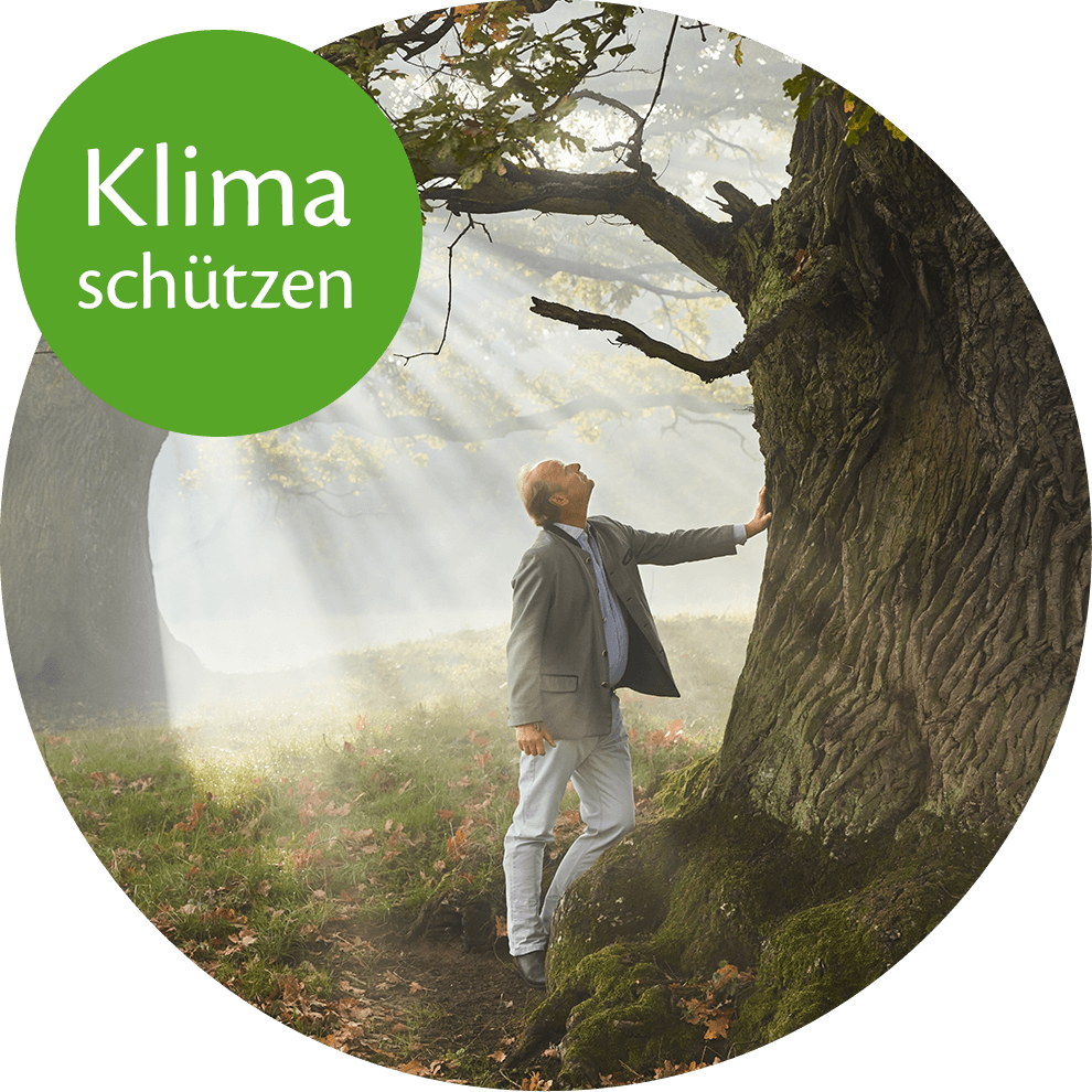 A man in a suit stands beside a large tree in a misty forest.