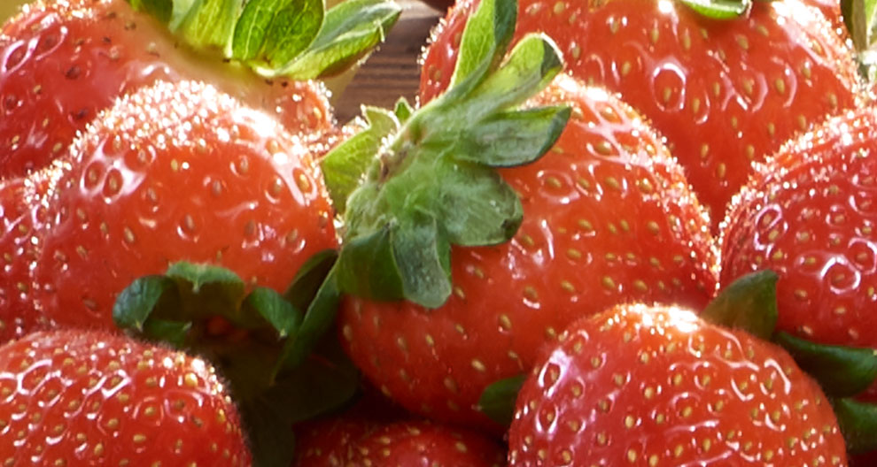 A close-up of ripe strawberries with fresh green leaves.