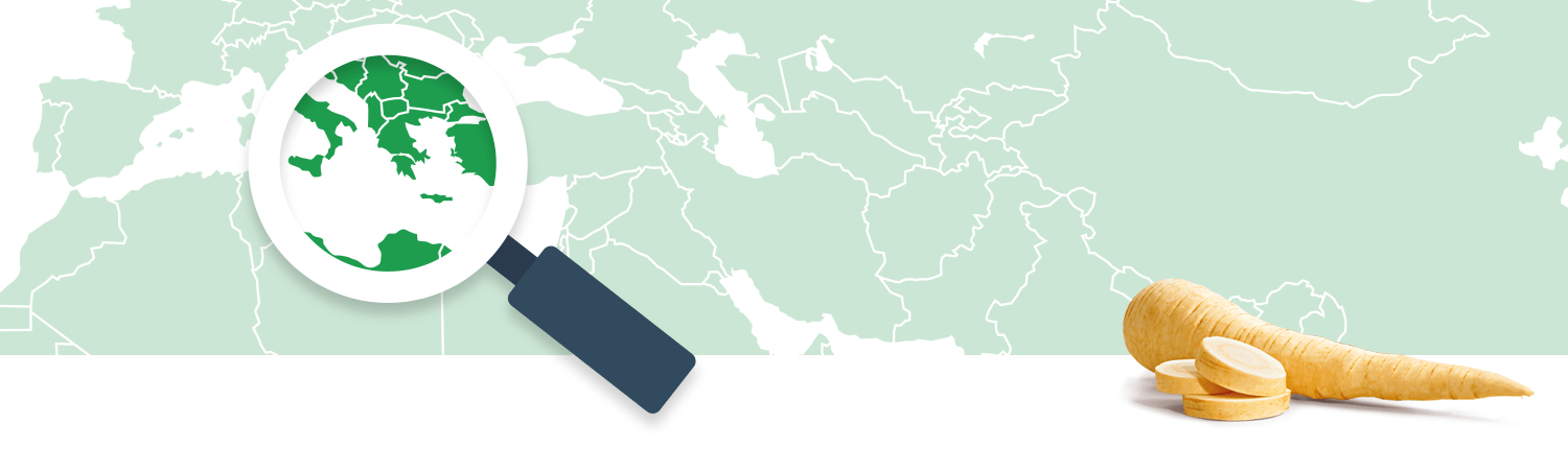 A magnifying glass focuses on a region of a world map, while a parsnip and its slices are displayed on the right.