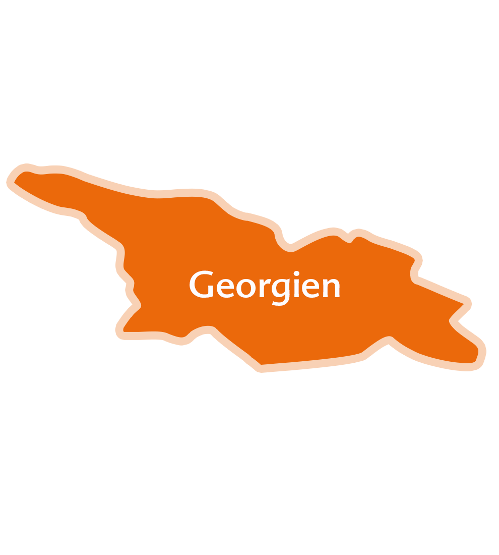 An orange silhouette of Georgia