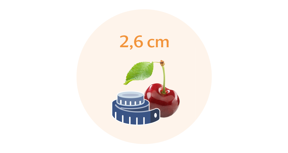 A ripe cherry with a stem and leaf, accompanied by a blue measuring tape, is placed against a white background with the text "2.6 cm" above the cherry.