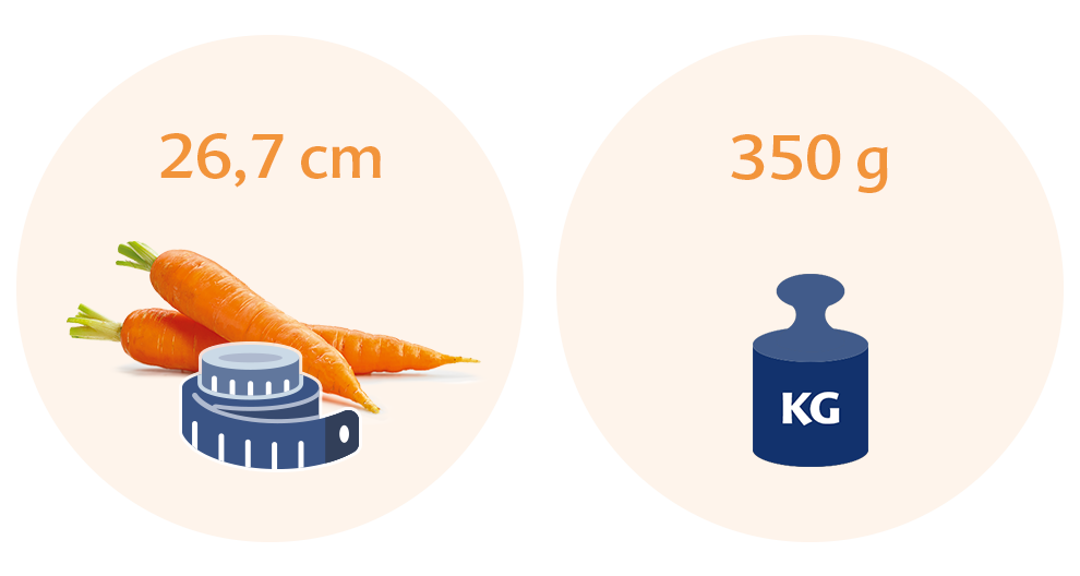 Two circles, each with a distinct illustration and text. The left circle has a carrot and a measuring tape with the text "26,7 cm," and the right circle has a weight scale with the text "350 g."
