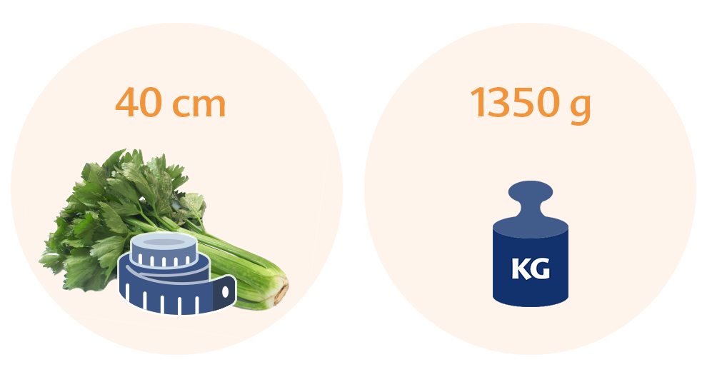 Two circles, one with a green leafy vegetable and a measuring tape, and the other with a blue weight scale icon and the text "1350 g KG."