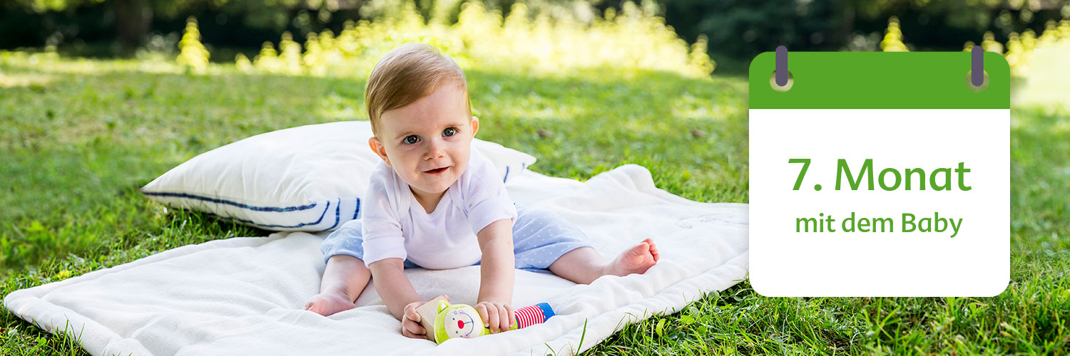 A baby sits on a blanket outdoors, holding a toy, with a calendar overlay indicating the seventh month of life.