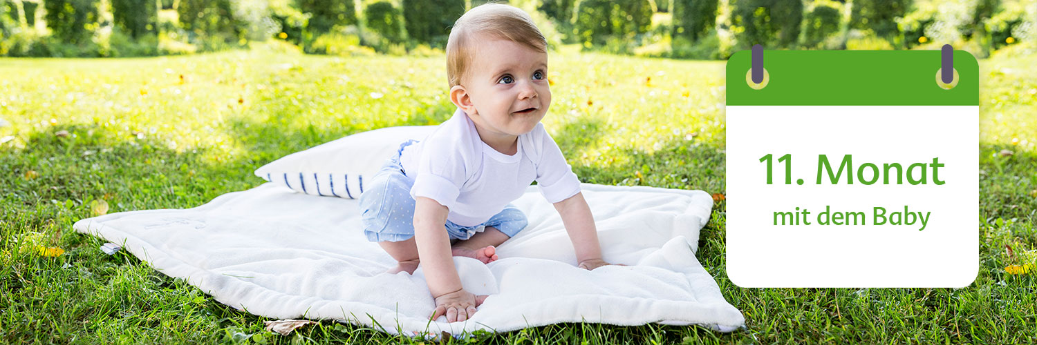 A baby sits on a blanket in a grassy field with a calendar overlay indicating the 11th month with the German phrase "mit dem Baby" (with the baby).