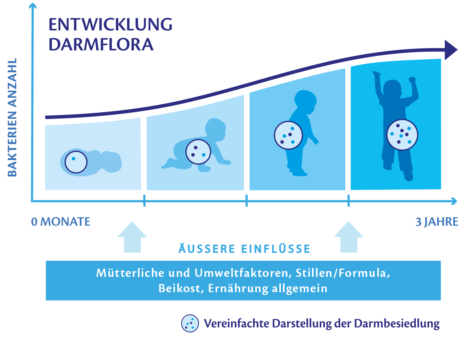 Development of a child's immune system from birth to three years, highlighting the importance of external influences such as maternal and environmental factors, food, and vaccination.