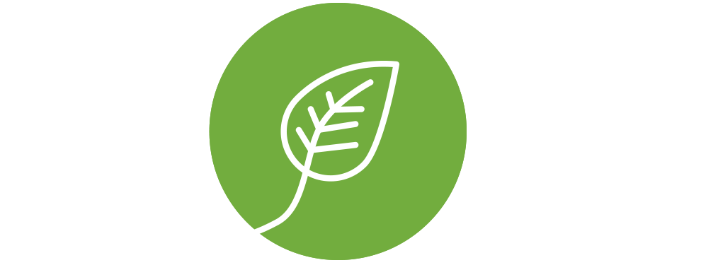 A green circle contains a white leaf.
