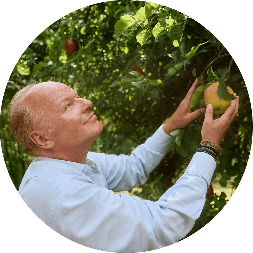 A man in a light blue shirt is looking up at a tree with ripe apples, reaching out to one.